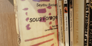(Re)Découvrir "Sous l'orage" de Seydou Badian