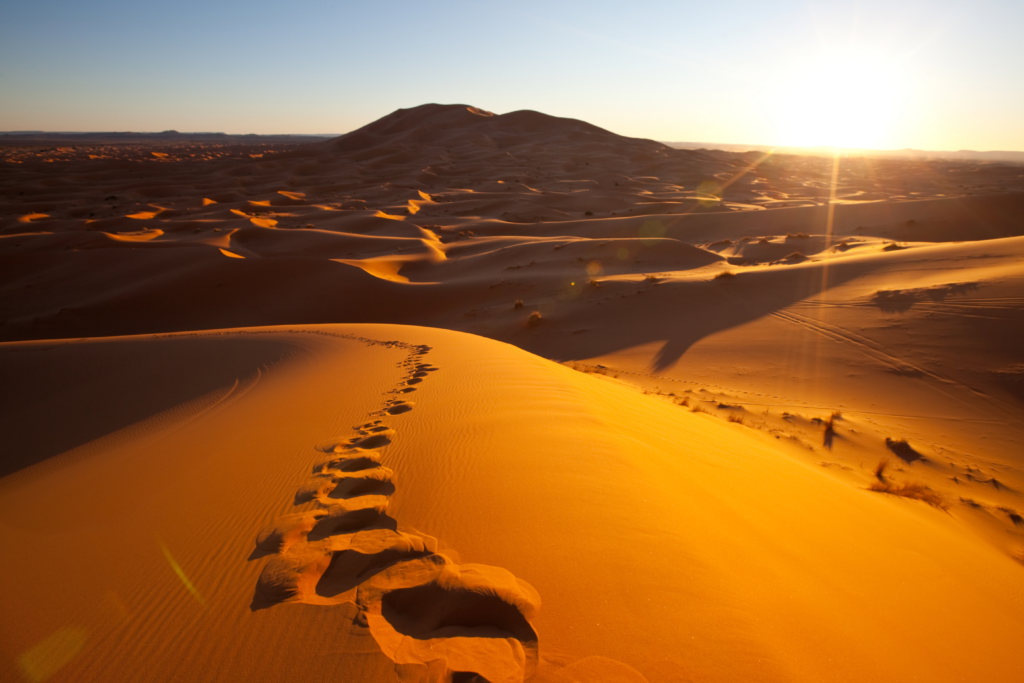 Le mystère du désert : choisir le bon chemin