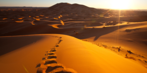 Le mystère du désert : choisir le bon chemin